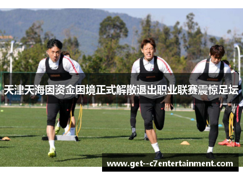 天津天海因资金困境正式解散退出职业联赛震惊足坛