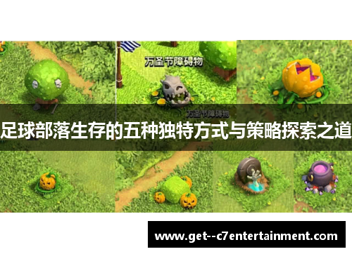 足球部落生存的五种独特方式与策略探索之道